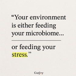 YourEnvironment