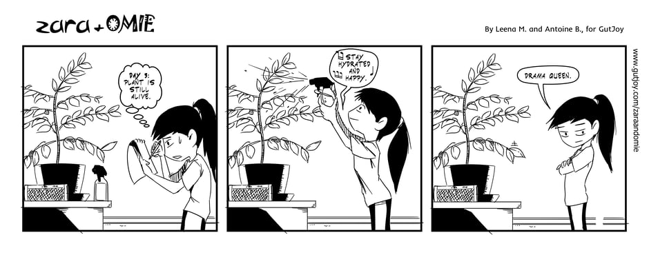 zara and omie comic #42 - curry leaf duty the update